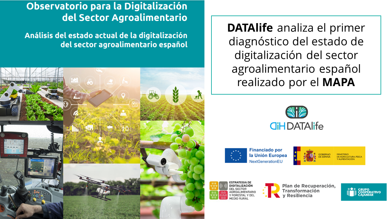 Observatorio Digitalización del MAPA – Análisis del estado actual de la digitalización del sector agroalimentario español