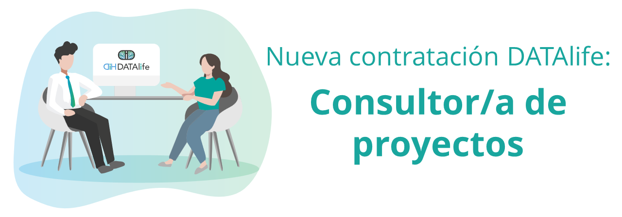 Consultor de proyectos