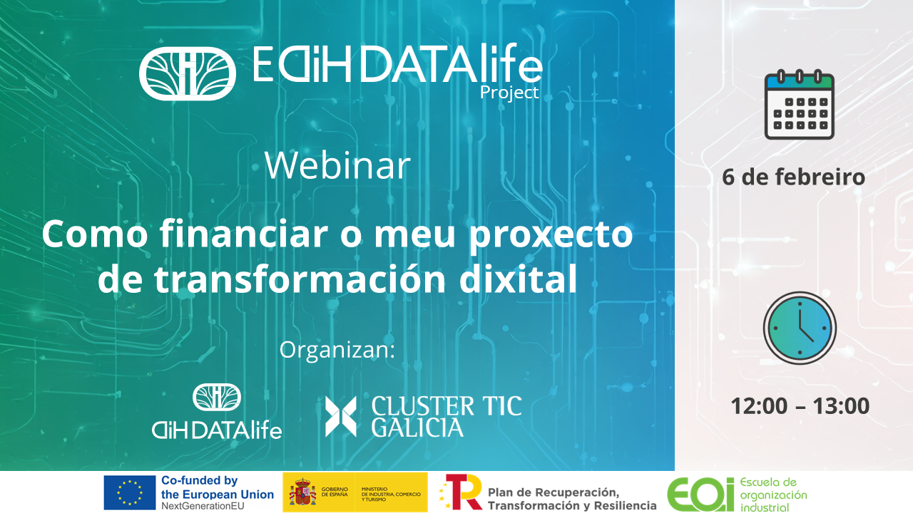 Como financiar o meu proxecto de transformación dixital