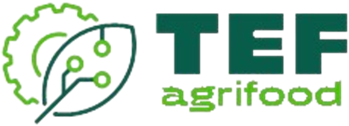 Ppt evento (agenda)