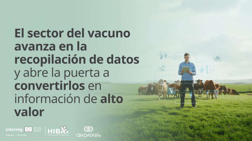 El sector del vacuno avanza en la recopilación de datos y abre la puerta a convertirlos en información de alto valor