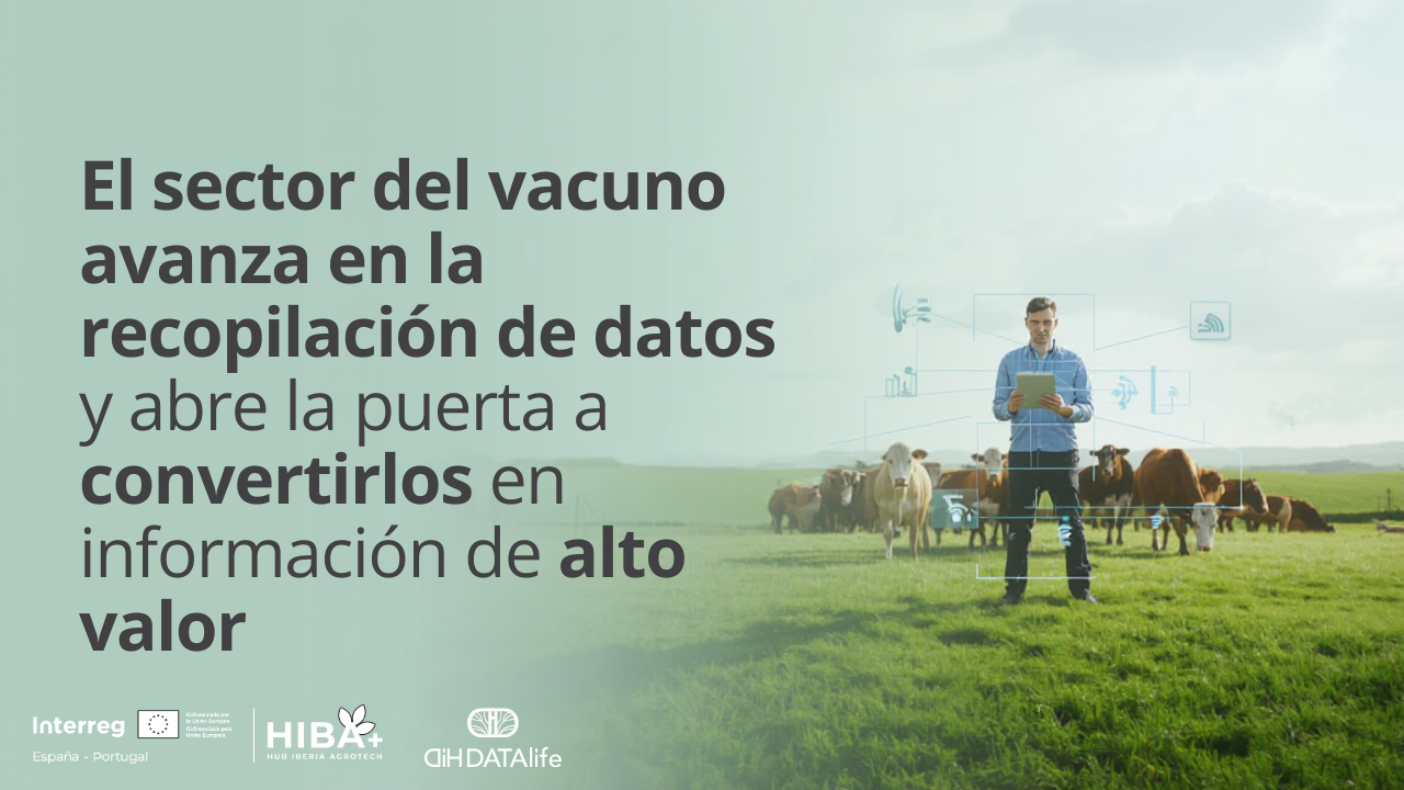 El sector del vacuno avanza en la recopilación de datos y abre la puerta a convertirlos en información de alto valor