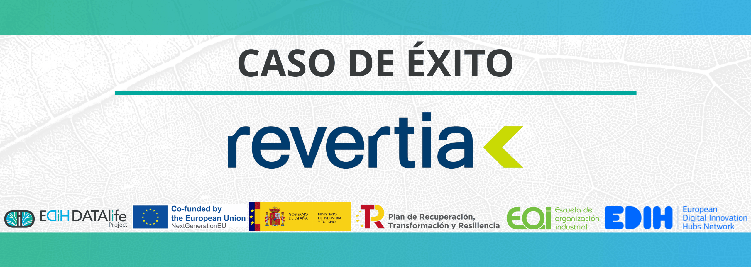 Portada web (1)